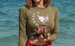 晴雅集为什么被禁